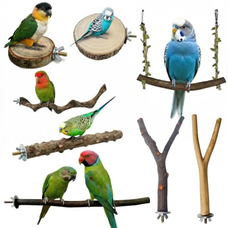 Health & Wellness Services At Western University Photos - 8PCS natural wood bird perches for