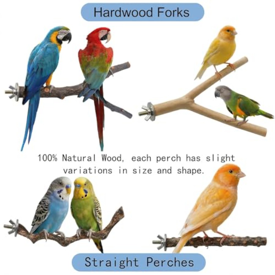 8PCS natural wood bird perches - Health & Wellness Services At Western University Photos ulasan dan harga