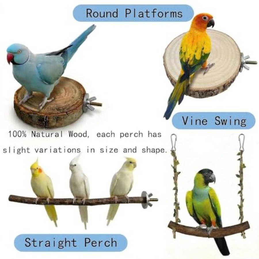 8PCS natural wood bird perches - Health & Wellness Services At Western University Photos ulasan dan harga