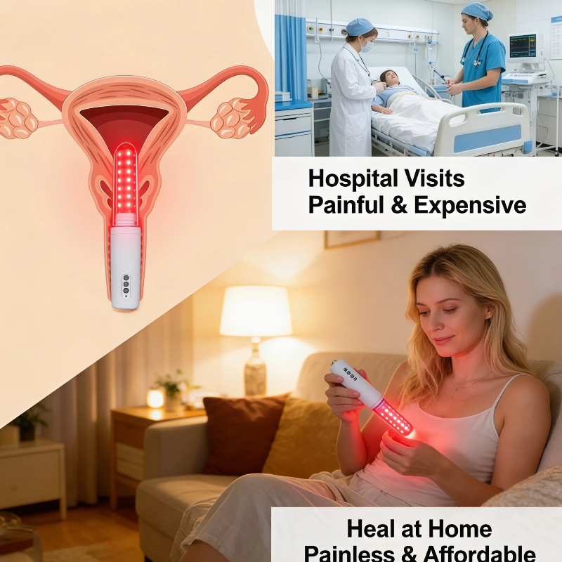 HLKGO Feminine Health Care Dev - Health Wellness Training ulasan dan harga