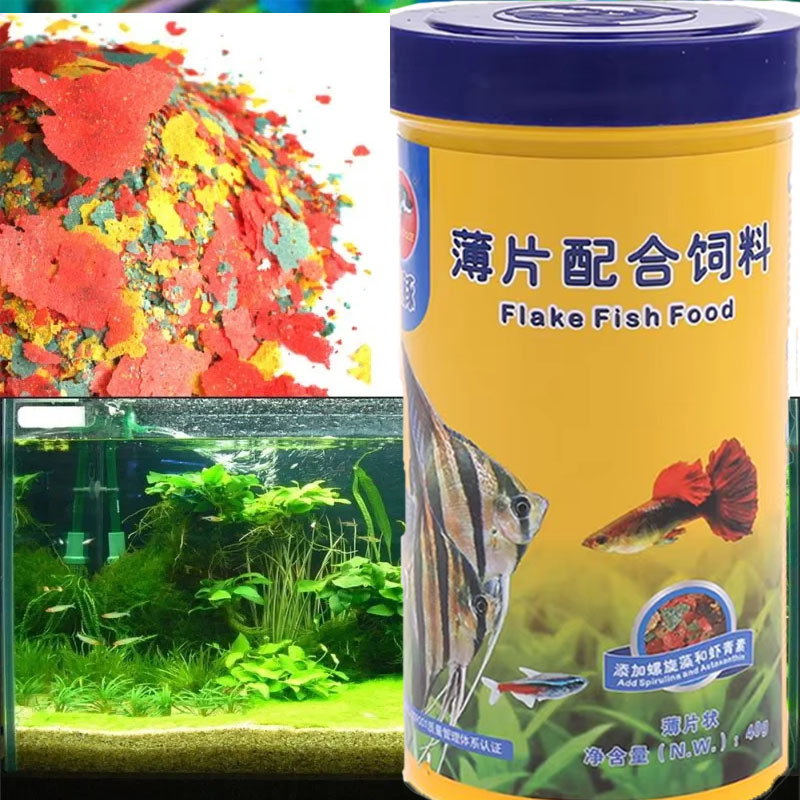 Fish Food Coloring and Brighte - Health Wellness Items ulasan dan harga