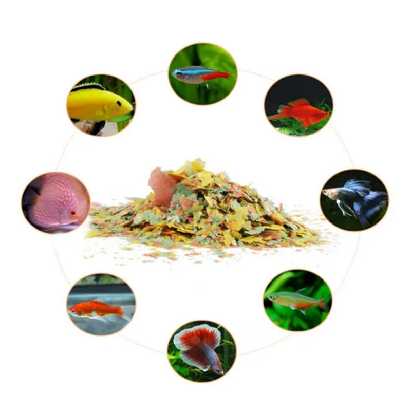 Fish Food Coloring and Brighte - Health Wellness Items ulasan dan harga