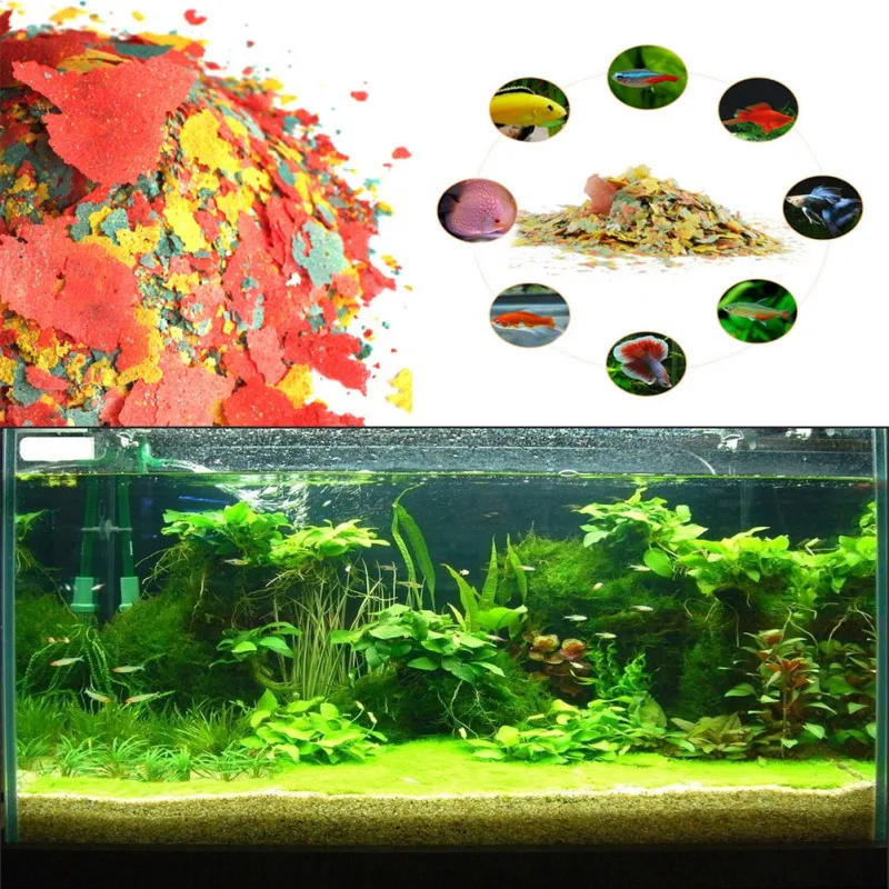 Fish Food Coloring and Brighte - Health Wellness Items ulasan dan harga