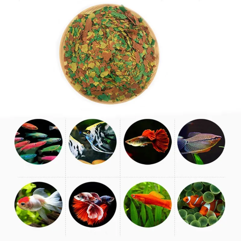Fish Food Coloring and Brighte - Health Wellness Items ulasan dan harga